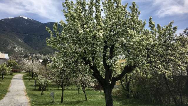 Le Catinat Fleuri