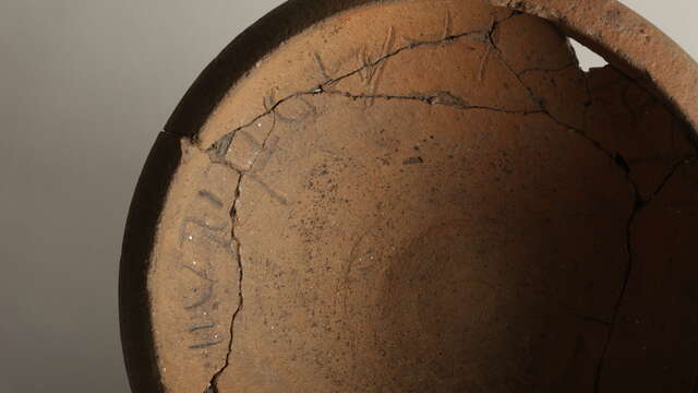 Exposition Sorties de réserve - Sigillée : héritages contemporains.