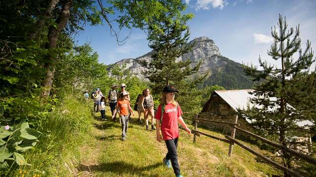 Ecoute la montagne - randonnée accompagnée à destination de groupes d'enfants (scolaires ou autre)