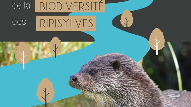 [EXPOSITION] À la découverte de la biodiversité des ripisylves
