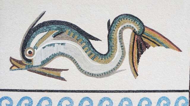 Des histoires de dauphins
