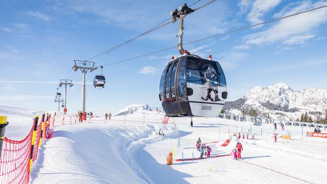 Itinerary pedestrian - snowshoe 34 - Plateau du Rosay