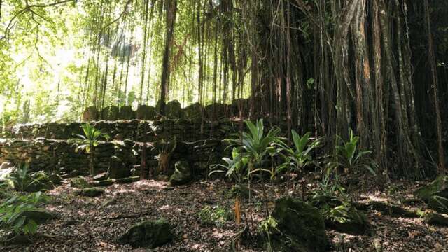 Huahine Randonnées