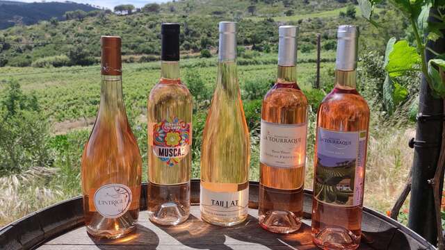 Fête de fin de Vendange au Domaine La Tourraque
