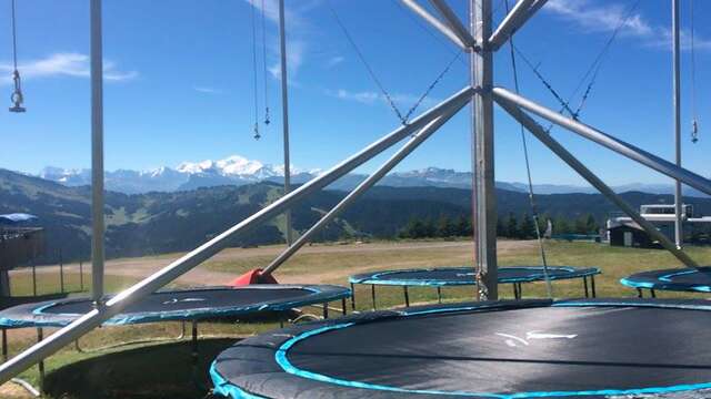 Trampoline