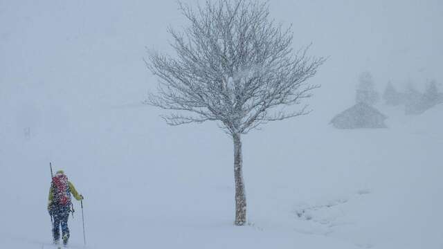 Projection-causerie : En attendant la neige