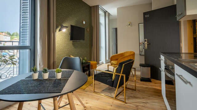 Meublé Puy de la Vache - 100