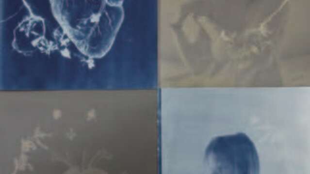 Exposición - Elle(s) aux racines d'ombre et de lumière