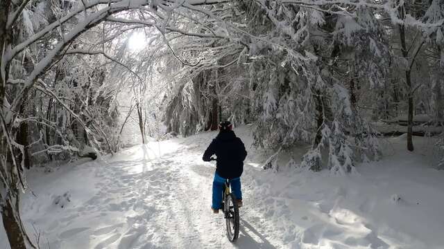 Der Salève mit dem Fatbike im Schnee