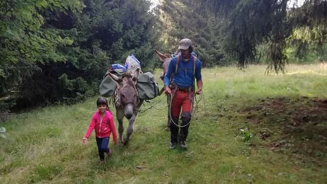 Florent Armand - accompagnateur en montagne - rando avec les ânes