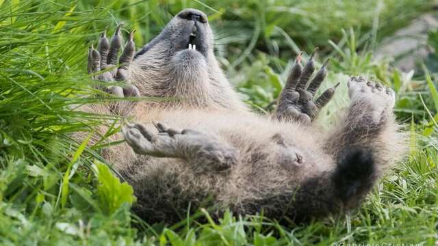La randonnée gourmande du mercredi dans le Parc du Mercantour