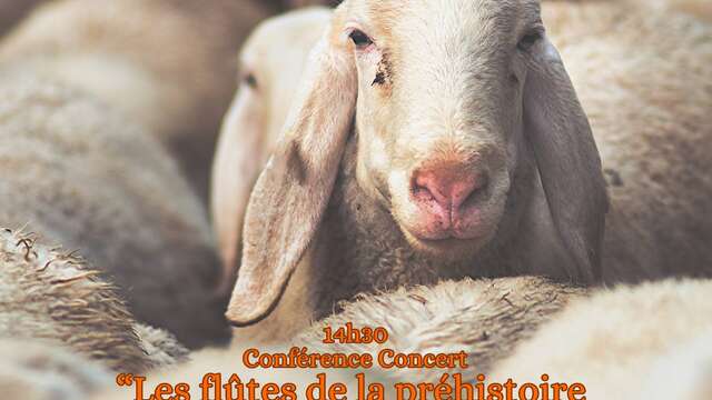 Conférence concert : les flûtes de la préhistoire aux flûtes pastorales d''aujourd'hui