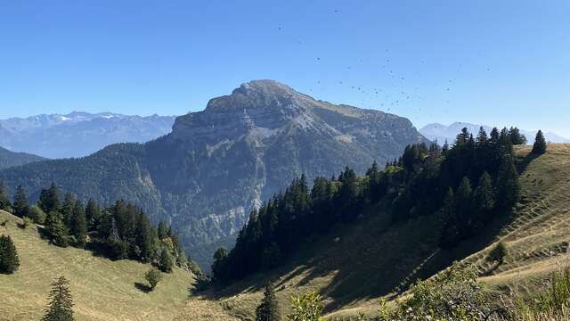 8 - Le Charmant Som on trail