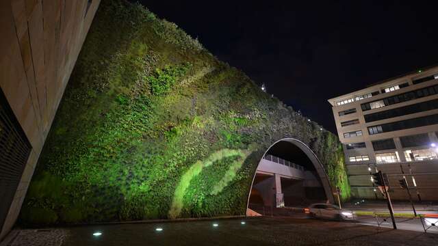 The vertical garden