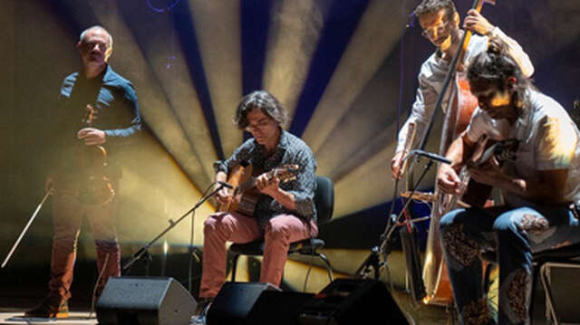 Minor Sing : Éléphant