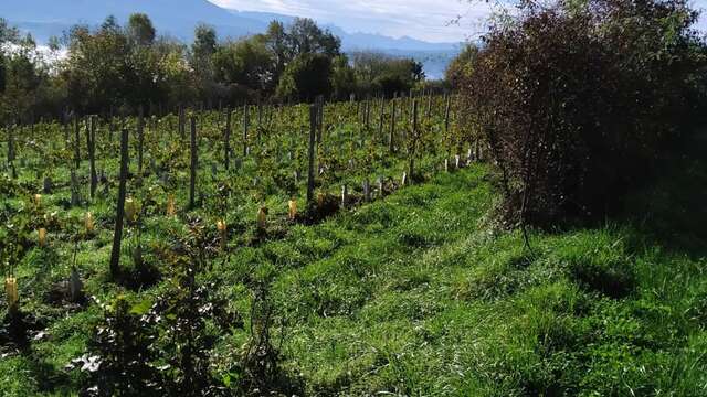 Les Pieds dans le Local®, spécial producteurs ! Visite d'exploitation : Les Mangeux d'Pierre