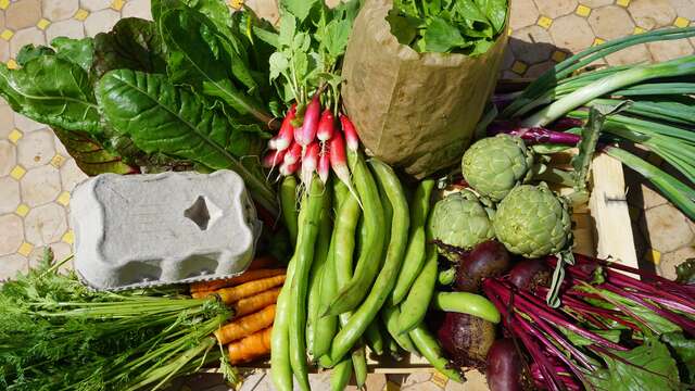 Les jardins ratatouille