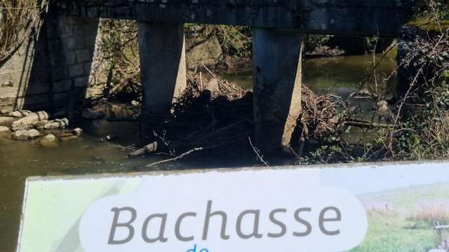 Balade - Domaine de Cuiset et le Vieux Jonc