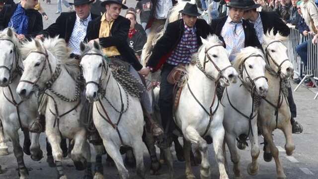 Les taureaux dans les rues - Feria de Pâques