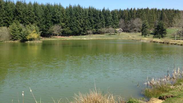 Sentier Le Saint-Cyrien