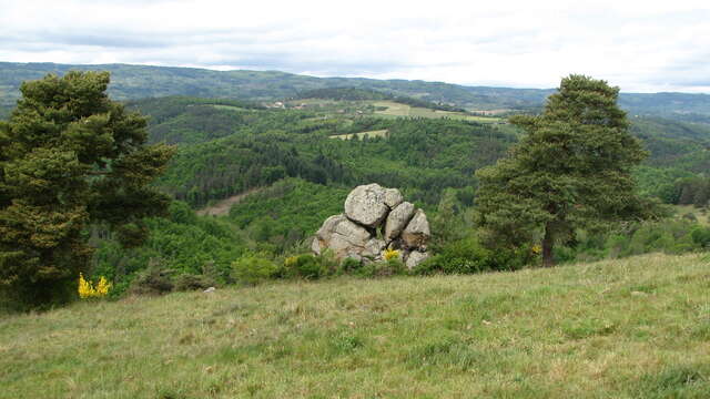 Le sentier des Ayasses et des Groles