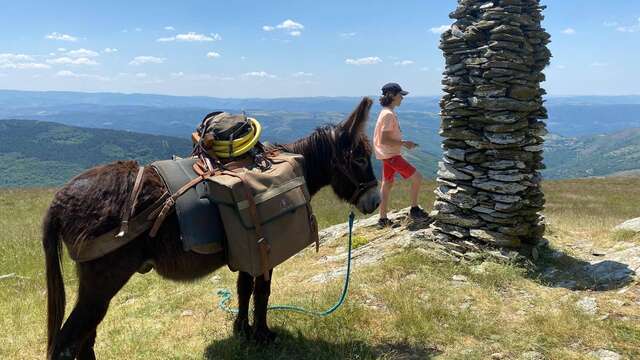 CÉVENNES G'RANDOS D' ÂNES - gérance