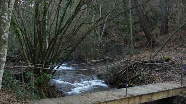 Boucle du domaine Saint-Jean de Villecroze