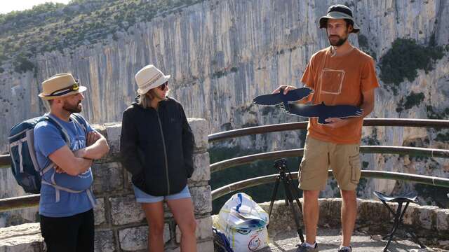Observez et découvrez la colonie de vautours fauves du Verdon