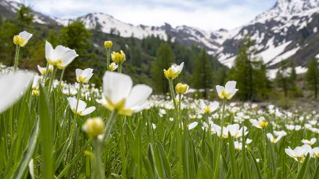 Le vallon de Ségure : à toucher le paradis en gravel
