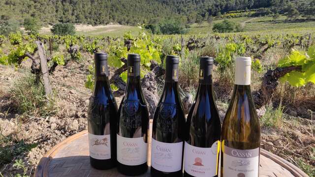 Domaine de Cassan