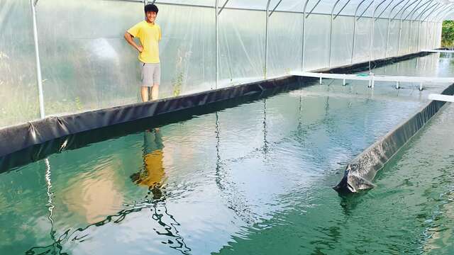 La fête de la spiruline