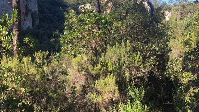 Promenade : Les Gorges du Blavet - Bagnols-en-forêt
