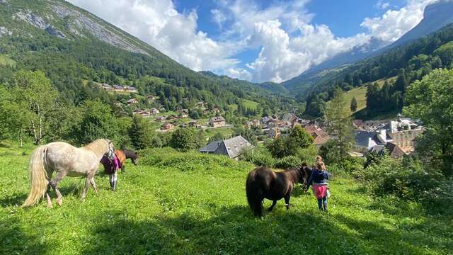 La Petite Cavale d'Erika - Stage poney journée