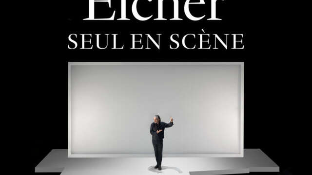 Concert : Seul sur scène de Stephan Eicher - L'Intégral