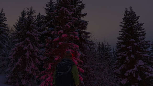 Randonnée nocturne "Conte moi la nuit"
