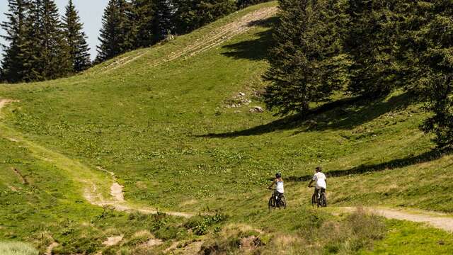 Sortie VTT enduro & E-bike en Valais (Suisse)