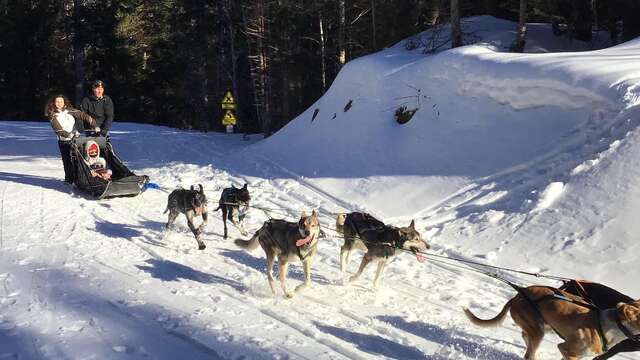 Traineaux à chiens sans neige avec Wood Track