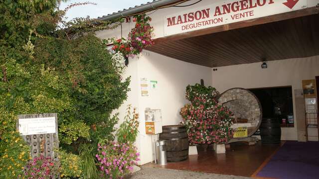 Maison Angelot