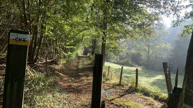 Mill Trail
