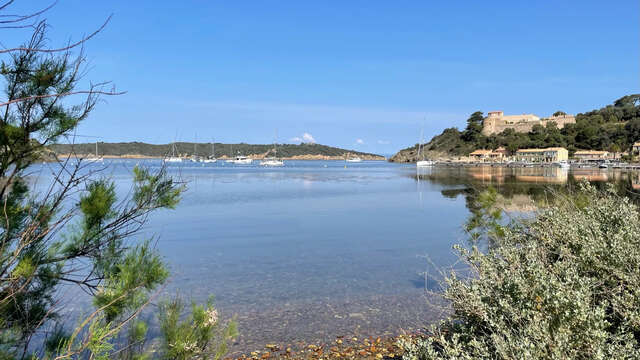 shuttles to Port-Cros Island - Vedettes îles d'Or et le Corsaire