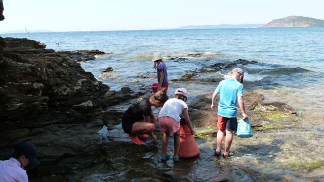 Activité enfant "Les pieds dans l'eau"