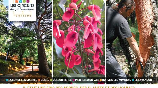 Les Circuits du Patrimoine : Il était une fois des Arbres, des Plantes et des Hommes en Méditerranée Porte des Maures