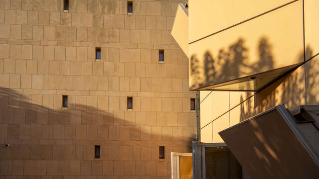 En lumière ! Visite guidée architecturale