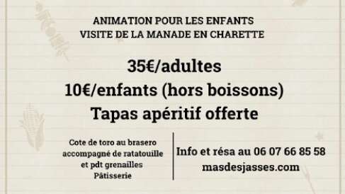 Un dimanche à la manade Fernay