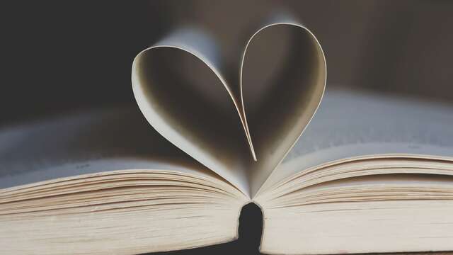 Alleins municipal library