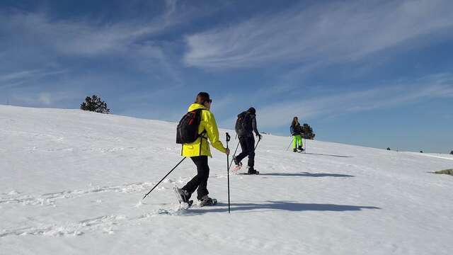 Snowshoeing with Babeth's trails