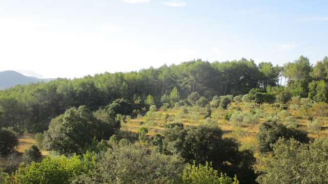 Balade - Les 4 Frères entre culture et cueillette