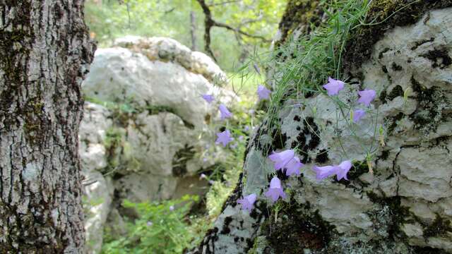 Randonnée argile en Provence - Journée