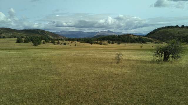 Le Plateau de La Palud