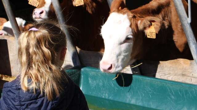 Visite de ferme